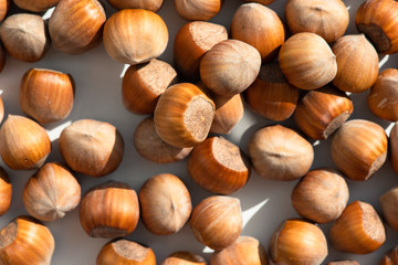 Hazelnut. Fresh organic filbert on white background. Nut macro. 