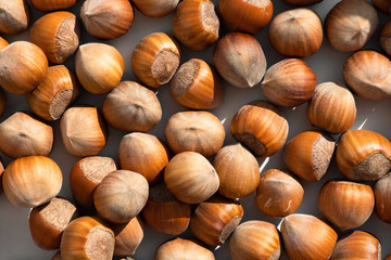 Hazelnut. Fresh organic filbert on white background. Nut macro. 