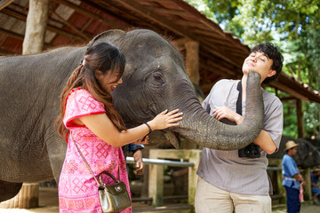 thai tourist couple posing with elephant at sanctuary