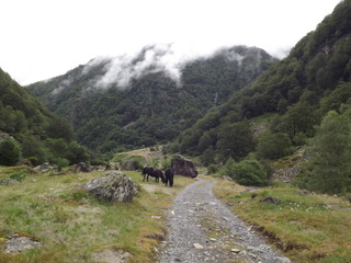 cirque de la plagne 2