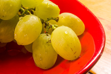 large brush of green grapes in a red ceramic plate on a wooden background