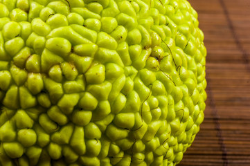 Green fruit of maclura pomifera, osage orange, horse apple, adam apple grow on bamboo mat