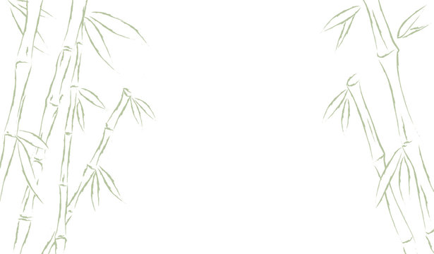 Bamboo Or Sugar Cane Forest Frame Background. Vector Illustration Drawing