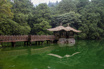 Fototapeta na wymiar The walk way go to pavilion at Alishan national park area in nature Taiwan.