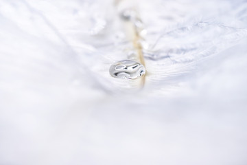 a drop of water close-up on a white fluffy ostrich feather