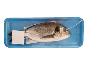 Gilthead raw fish in a styrofoam container at the supermarket. Isolated on white background.