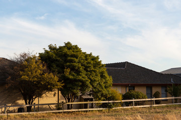 Old farm house bathed in afternoon light.