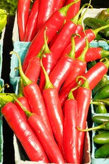 Hot Peppers at a Farmers Market