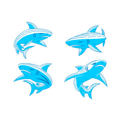 Shark Animal logo design Outline set illustration template