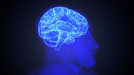 3d render of human brain anatomy