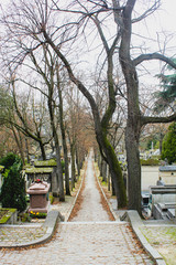 Old cemetery in the city of Paris, France