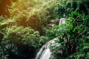 Plakat soft water of the stream in the natural park, Beautiful waterfall in rain forest