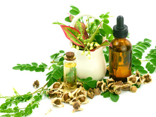 Moringa oil and seeds, leaves, isolated on a white background.
