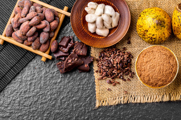 Dark chocolate pieces crushed and cocoa beans, top view
