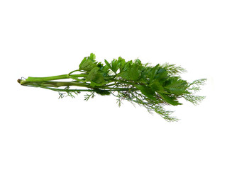parsley isolated on a white background