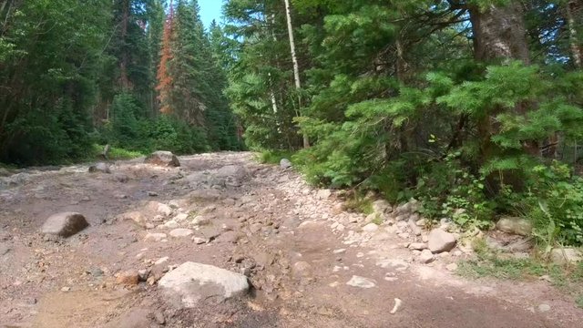 SXS Driving down the trail in Colorado.