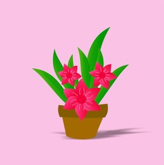 The Amazing of Colorful Flowers Character, Pattern Wallpaper in Pink Background