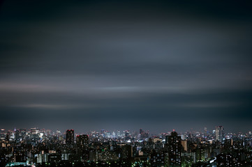 Fototapeta premium Tokyo cityscape, Japan