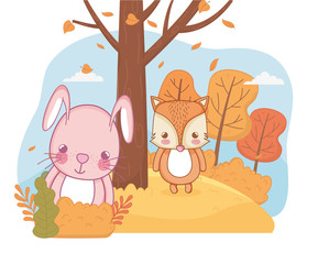 cute animal foliage hello autumn
