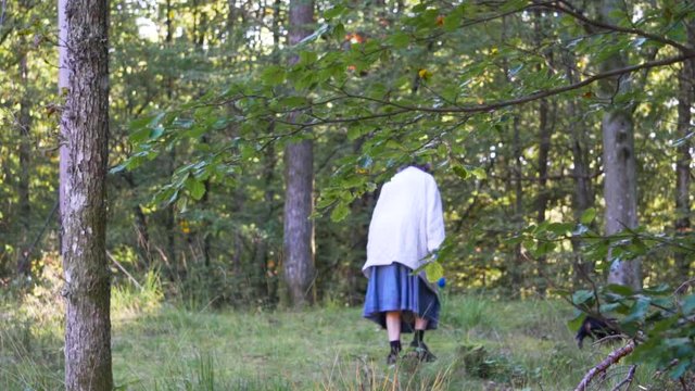 Comany Bilder Durchsuchen 222 Archivfotos, und Videos