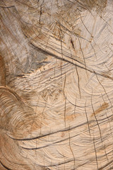old wood texture