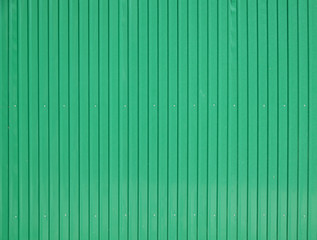 Wall zinc sheets texture green