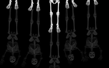 3d rendering. Legs of Ghost  human skull skeleton bones with reflection on black background. Horror Halloween concept.