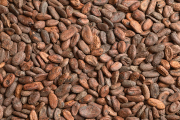 Tasty cocoa beans as background, top view