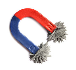 Red and blue horseshoe magnet with iron filings on white background, top view