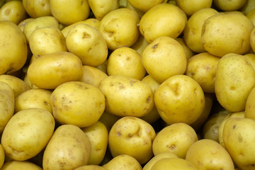 potato yellow background texture selling vegetables