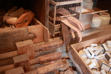Bois coupé