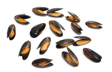 mussels isolated