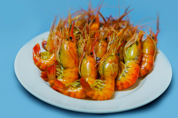 shrimps white plate isolated on blue background