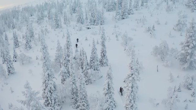 Aerial view of three people on fatbikes going downhill through snowy forest in Lapland Finland.
