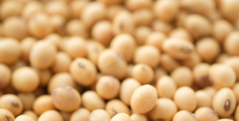 Soy blurred images For background