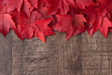 Naklejka na ściany i meble Fall color nature background, red maple leaves on a rustic dark wood background