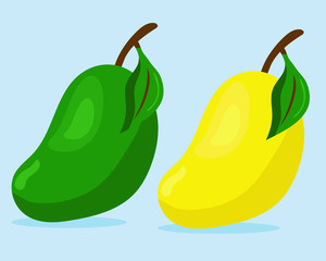 Two mangoes, green and yellow color in cartoon style vector.