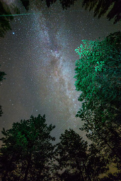 Milk Way night sky over pine trees at Soodla, Estonia
