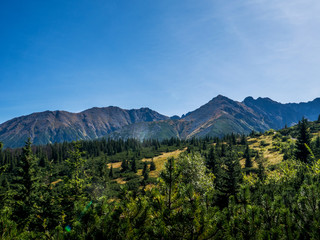 landscape in the mountains