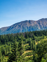 landscape of mountains in spring