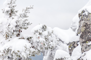Beautiful view from the top of the Two-headed hill. Taganay national Park, South Ural, Chelyabinsk region, Russia.