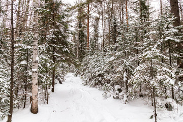 Fototapeta premium Winter landscape. Taganay national Park, Chelyabinsk region, South Ural, Russia