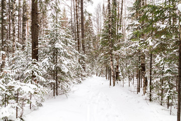 Winter landscape. Taganay national Park, Chelyabinsk region, South Ural, Russia