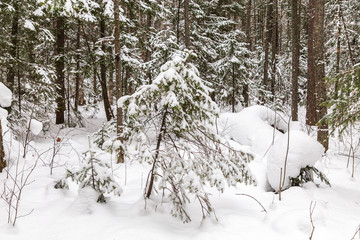 Winter landscape. Taganay national Park, Chelyabinsk region, South Ural, Russia