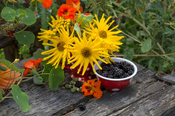 Colorful Autumn Flowers And Blackberries