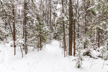 Winter landscape. Taganay national Park, Chelyabinsk region, South Ural, Russia