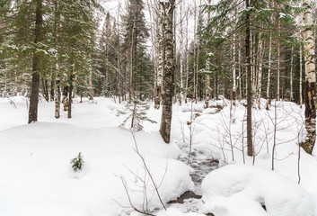 Winter landscape. Taganay national Park, Chelyabinsk region, South Ural, Russia