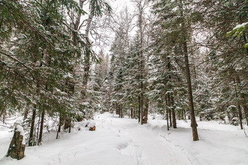 Winter landscape. Taganay national Park, Chelyabinsk region, South Ural, Russia