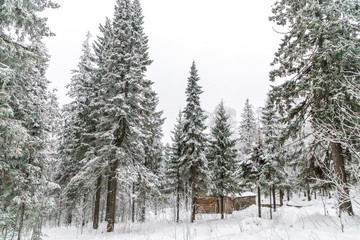 Winter landscape. Taganay national Park, Chelyabinsk region, South Ural, Russia