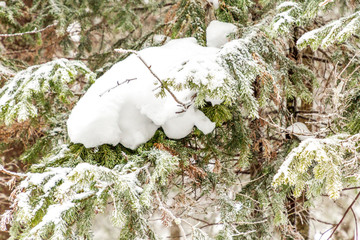 Winter landscape. Taganay national Park, Chelyabinsk region, South Ural, Russia